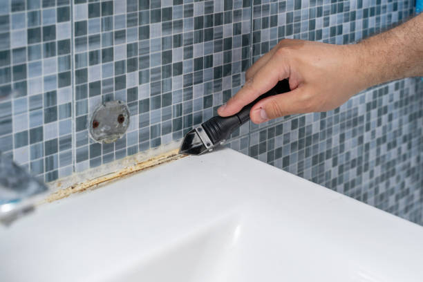 Best Mold Cleaning Services  in Greenacres, FL